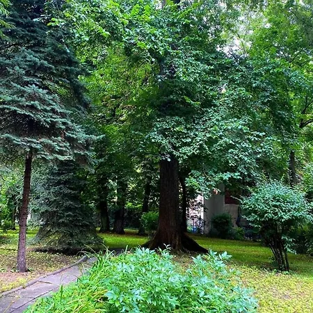 Apartment With Garden In Old Town-3